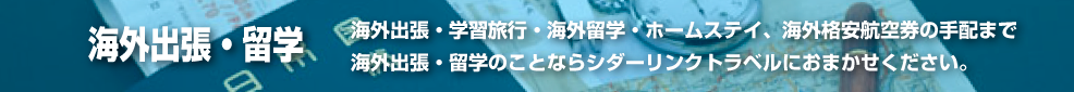 海外出張・学習旅行・海外留学ホームステイなど、格安航空券の手配までシダーリンクにお任せください。