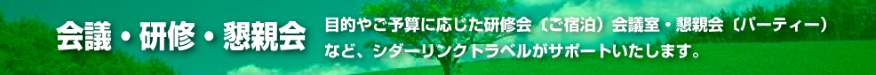 シダーリンクトラベルでは目的やご予算に応じた会議・研修・懇親会の手配を致します。