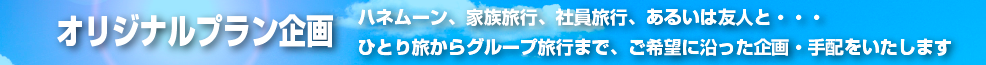 ハネムーン・家族旅行・社員旅行・あるいは友人と。一人旅からグループ旅行まで、ご希望に添ったご旅行の企画、手配をいたします。